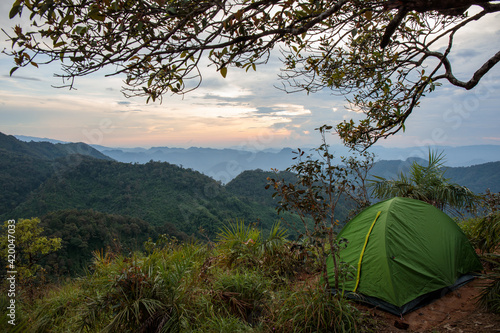 Green camping tent on the mountain forest under the tree at sunset or evening time.
