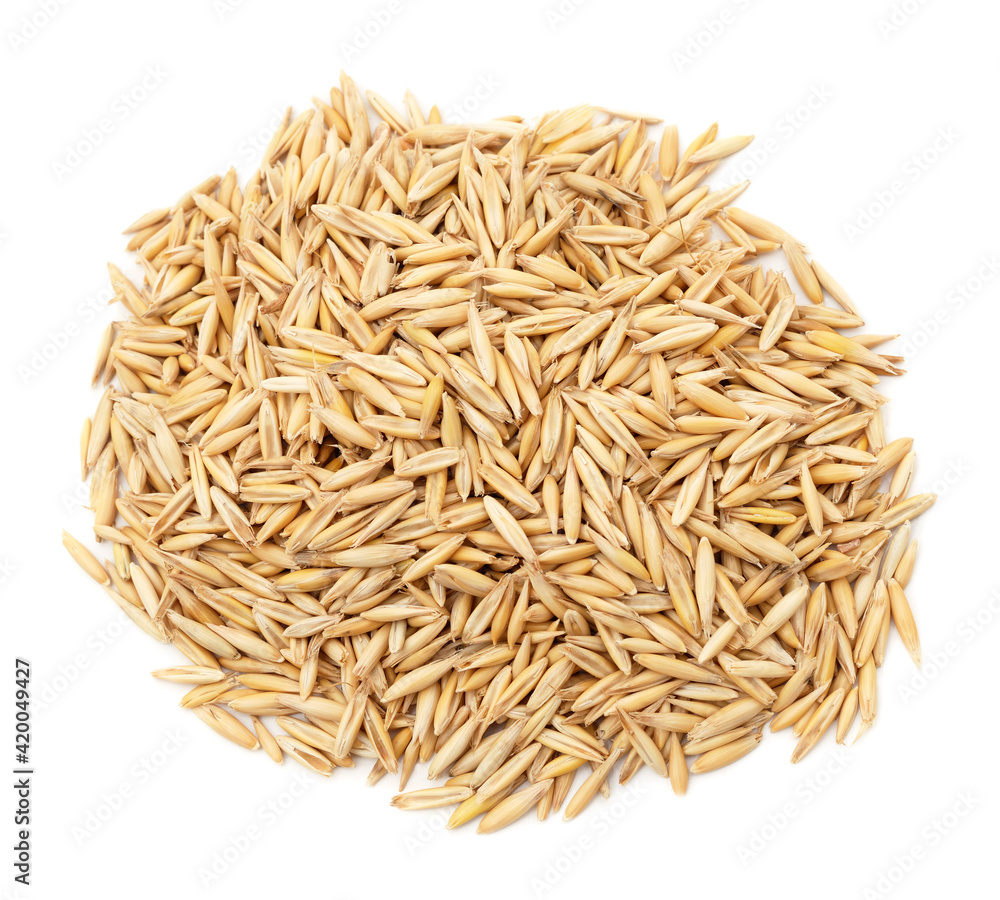 Yellow barley grain handful.