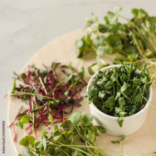 Set of colored micro greens on white light background