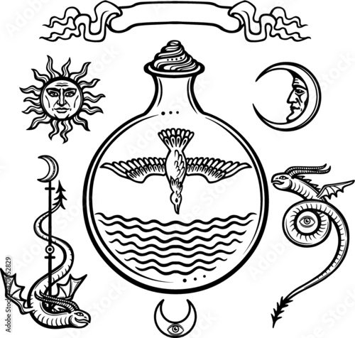 Set of alchemical symbols. Origin of life.  Symbolical bird in a test tube. Religion, mysticism, occultism, sorcery.Vector illustration isolated on a white background.