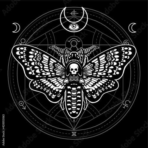 Moth Dead Head. Mystical circle. Esoteric symbol, sacred geometry. Sign of the moon. Monochrome drawing isolated on a black background. Vector illustration. Print, posters, t-shirt, textiles.