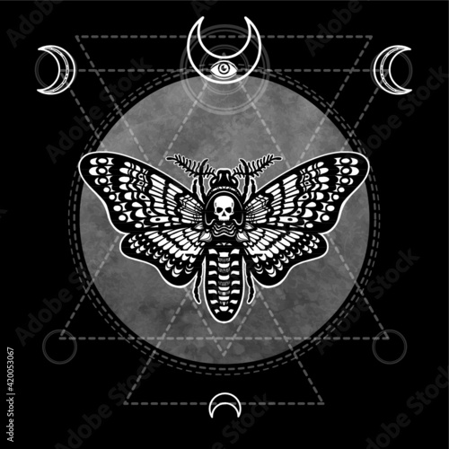 Decorative moth Dead Head. Esoteric symbol, sacred geometry. Sign of the moon. Monochrome drawing isolated on a black background. Vector illustration. Print, posters, t-shirt, textiles.