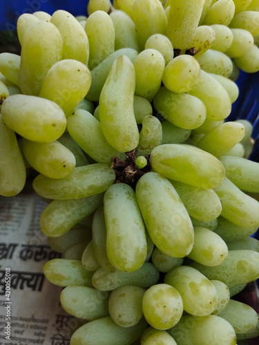 fruit at the market