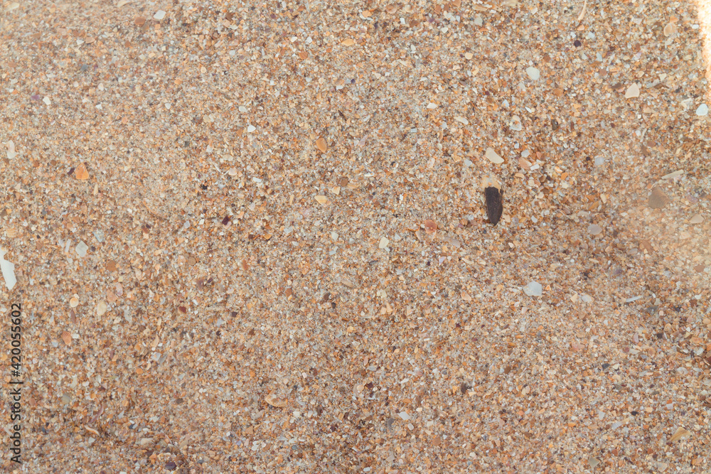 Texture of dry sea yellow coarse sand Texture of dry sea yellow coarse sand
