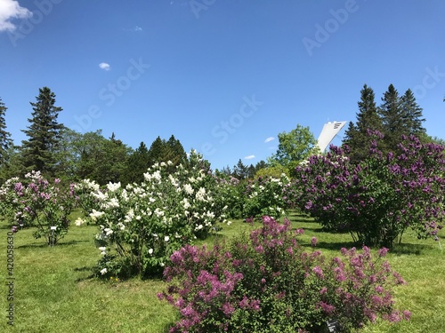 Landscape of green and blossoming Montreal botanical garden (Jardin botanique de Montreal) nature. Montreal, Quebec, Canada