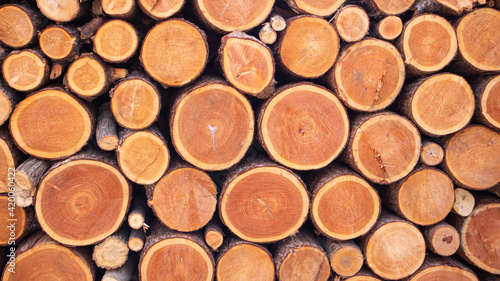                                                Log chips that can be used as background 