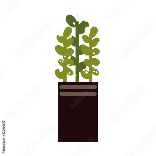 plant pot decoration