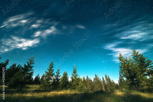 Airplane in beautiful night sky over green coniferous forest