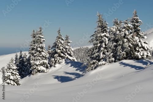 Snowy landscape in Hautes-Pyrenees  France