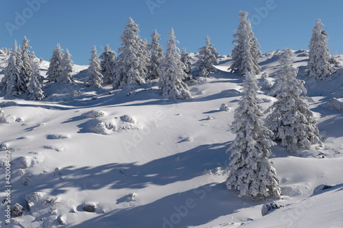 Snowy landscape in Hautes-Pyrenees, France © André LABETAA