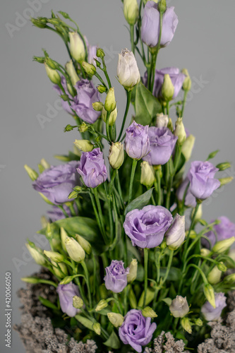 Fototapeta Naklejka Na Ścianę i Meble -  Bouquet of spring flowers in country style on gray background