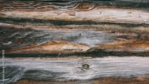old wooden background, wood in motion, wood texture of a barn house