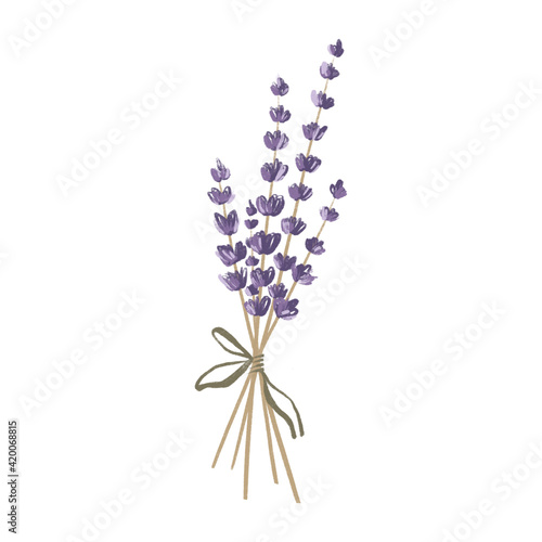 Sprig of lavender flower. Colored pencil sketch. Print for postcard, packaging, banner, poster, tattoo, dishes, package, perfume, soap.