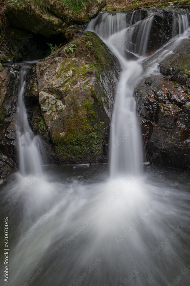 Fototapeta premium 滝