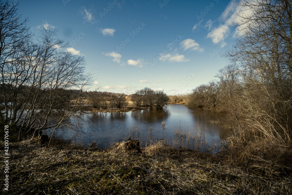 Fototapeta premium countryside forest river with blue water and rocks on the shore