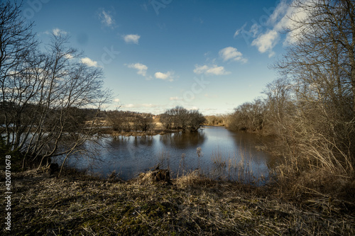 countryside forest river with blue water and rocks on the shore