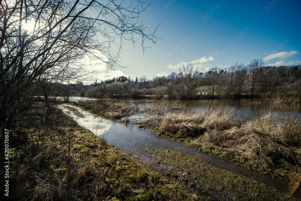 countryside forest river with blue water and rocks on the shore