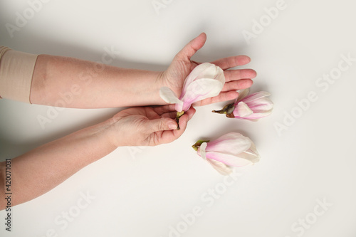 close-up of middle-aged woman s hand holding buds of spring flowers  pink magnolia  concept of awakening nature  aroma of plants  anti-aging cosmetology and care for aging skin