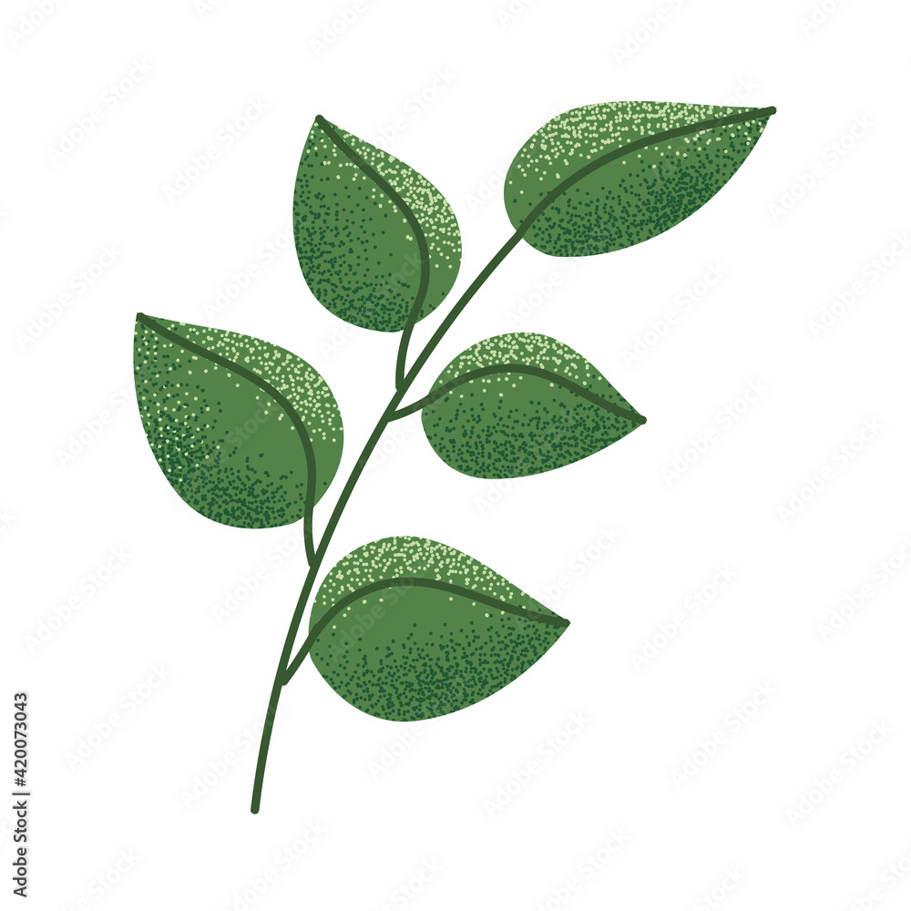 green branch ecology green branch ecology