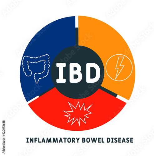 IBD - Inflammatory Bowel Disease acronym. medical concept background.  vector illustration concept with keywords and icons. lettering illustration with icons for web banner, flyer, landing page