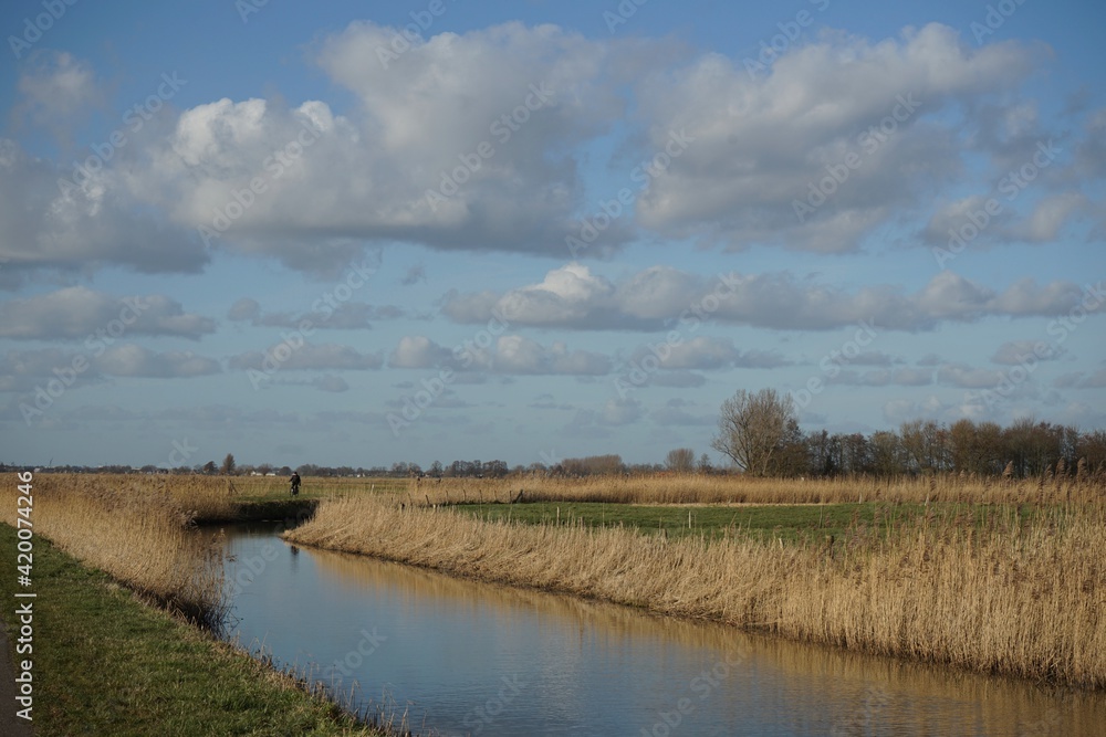 Wageningen Netherlands - 16 February 2018 - Nature reserve Hooilanden in Binnenveld near Wageningen in the Netherlands