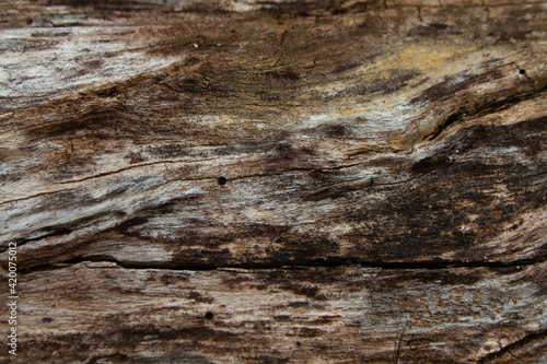 wooden background