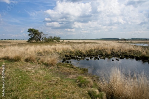 National Park de Hoge Veluwe in the East of the Netherlands