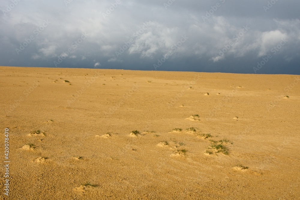 Sand dunes in National Park de Hoge Veluwe in the Netherlands Sand dunes in National Park de Hoge Veluwe in the Netherlands