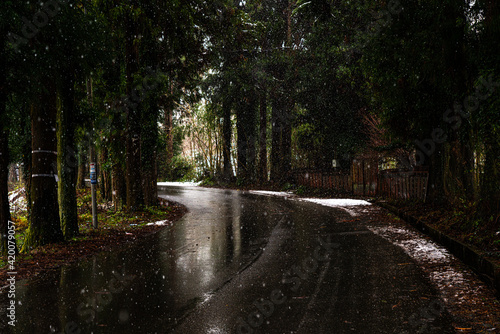 Asphalt road in the forest, snow on the side