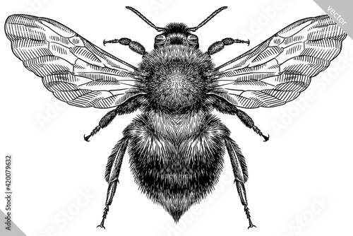 Foto Engrave isolated bumblebee hand drawn graphic illustration