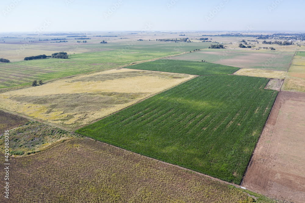 Cultivated fields in the Pampas region, Argentina.