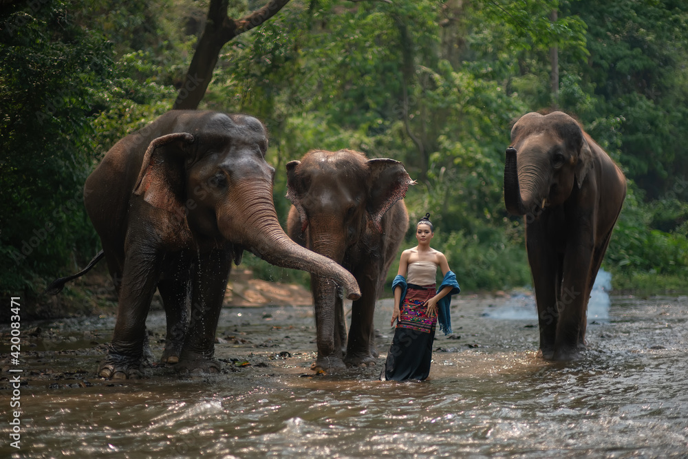 Fototapeta premium Beautiful Asian Woman wears thai dress with her elephant.