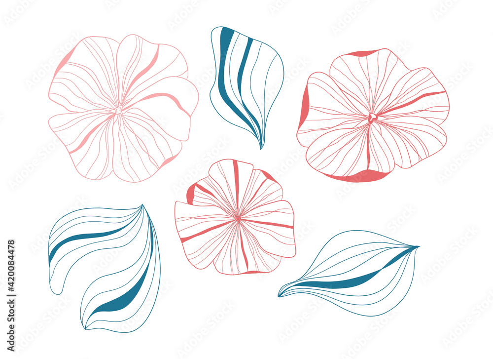 set of raster contour flowers - poppy with leaves