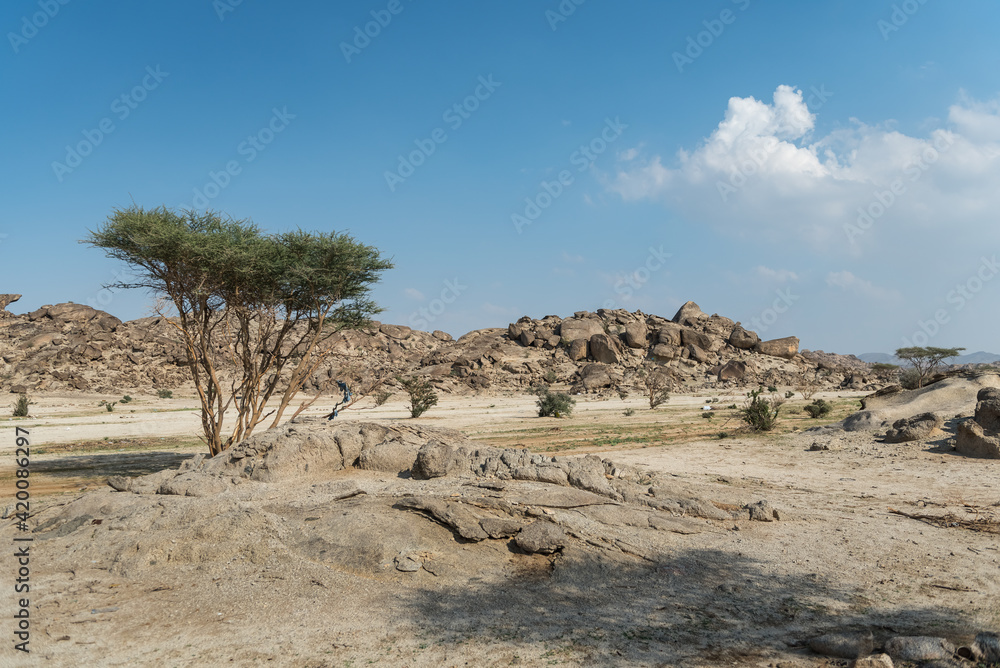 Landscape in Saudi Arabia.