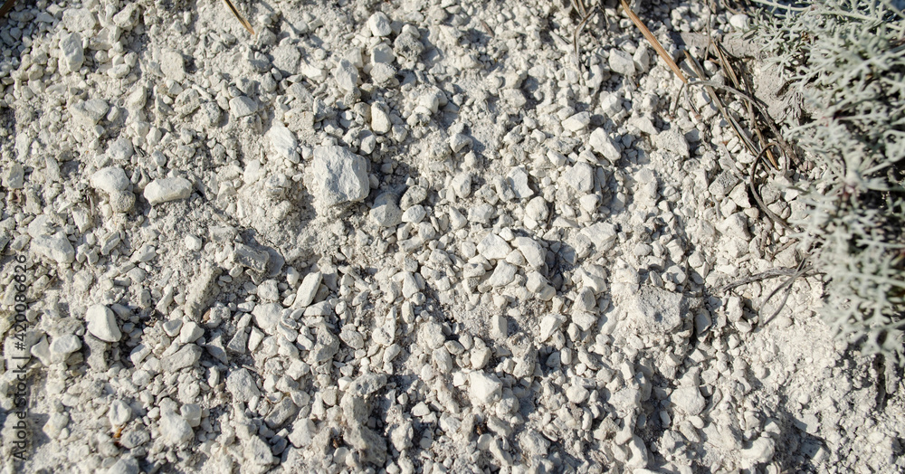 Small stones of natural chalk. Chalk mountain texture. Native chalk. Chalk  mining background or natural natural white background Stock Photo | Adobe  Stock