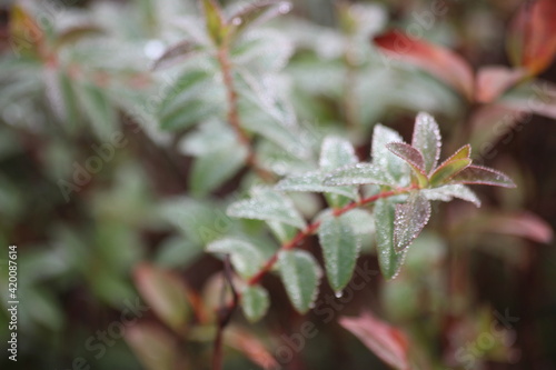 natureza