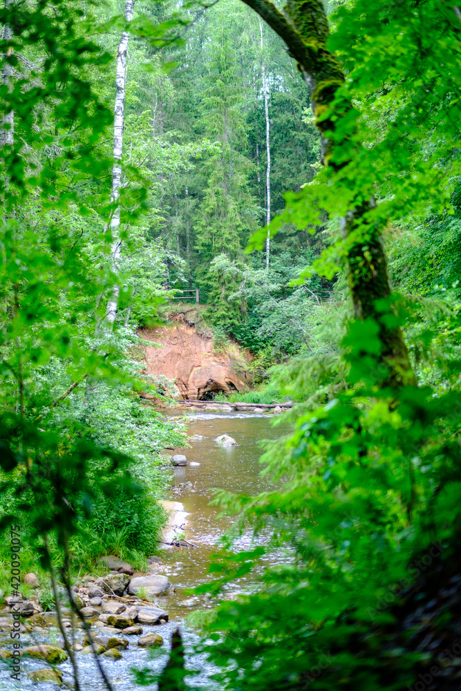sandstone cliffs on the shore of forest river in Latvia sandstone cliffs on the shore of forest river in Latvia