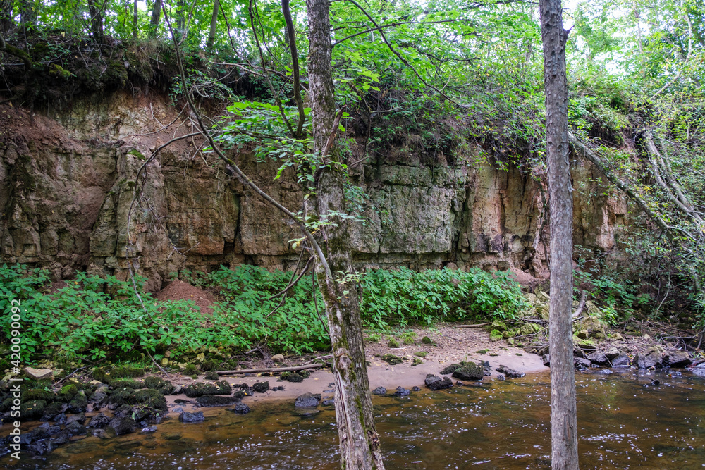sandstone cliffs on the shore of forest river in Latvia