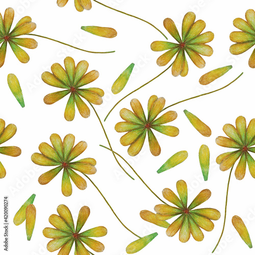 Yellow flowers on white background  tender floral wallpaper  summer textile print. Hand drawn with pencils. Seamless pattern.