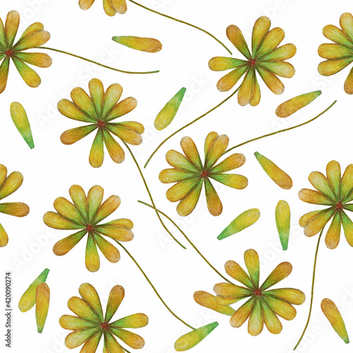 Yellow flowers on white background: tender floral wallpaper, summer textile print. Hand drawn with pencils. Seamless pattern.