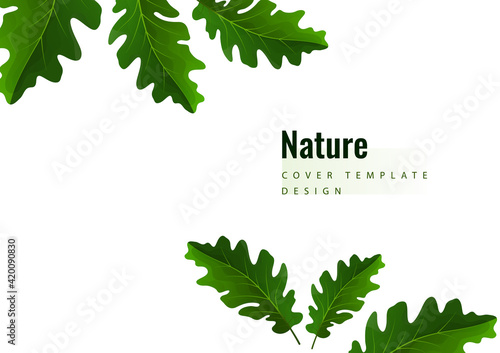 Creative green oak leaves on a light background. Template for your design. Vector