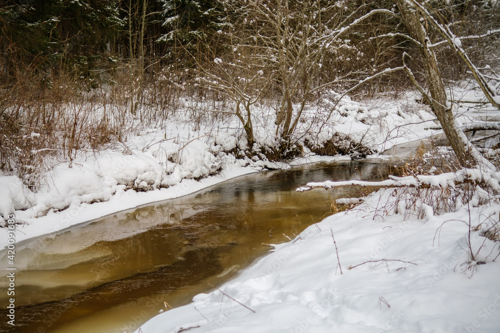frozen river view in forest with ice and snow