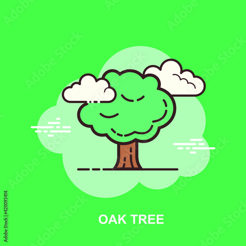 Oak tree green background with white clouds flat concept design