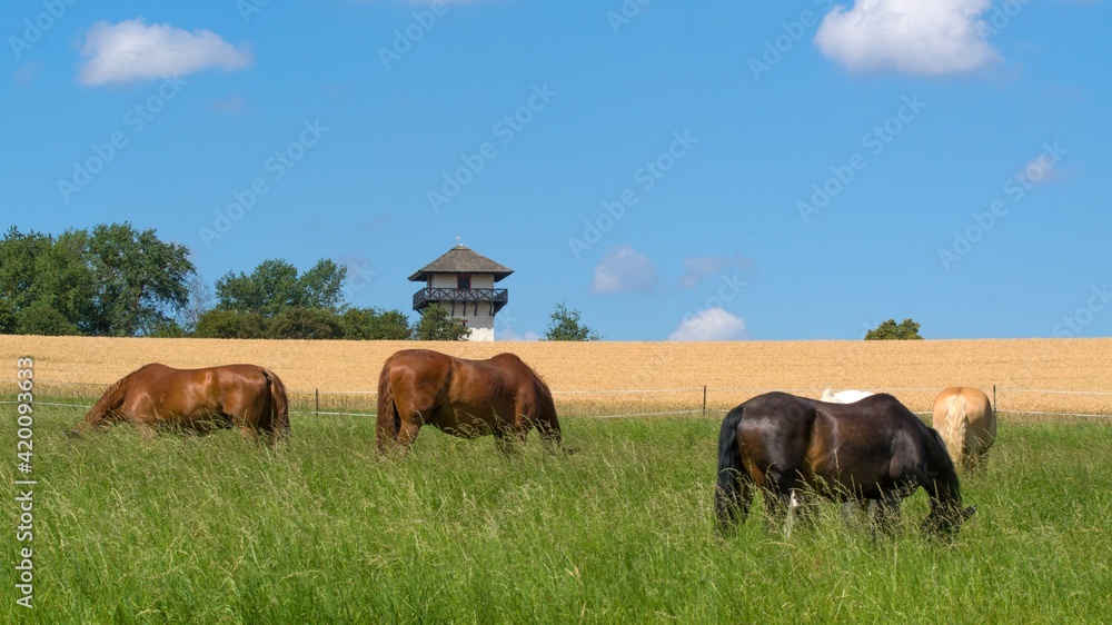 Idsteiner Landschaft