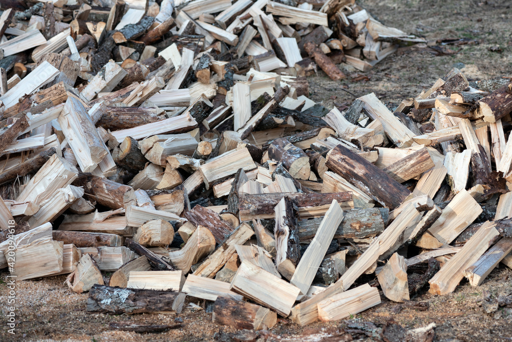 Pile of firewood on a heap. Coniferous and deciduous stacks of firewood. Pile of firewood on a heap. Coniferous and deciduous stacks of firewood.