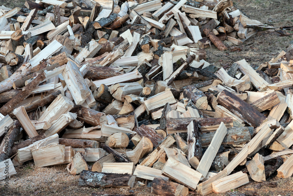 Pile of firewood on a heap. Coniferous and deciduous stacks of firewood. Pile of firewood on a heap. Coniferous and deciduous stacks of firewood.