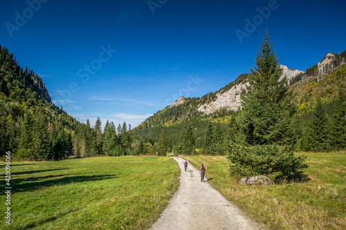 Obraz na płótnie Tatry Bielskie w salonie