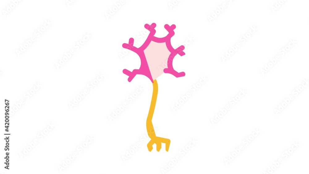 neuropsychology science color icon animation neuropsychology science color icon animation