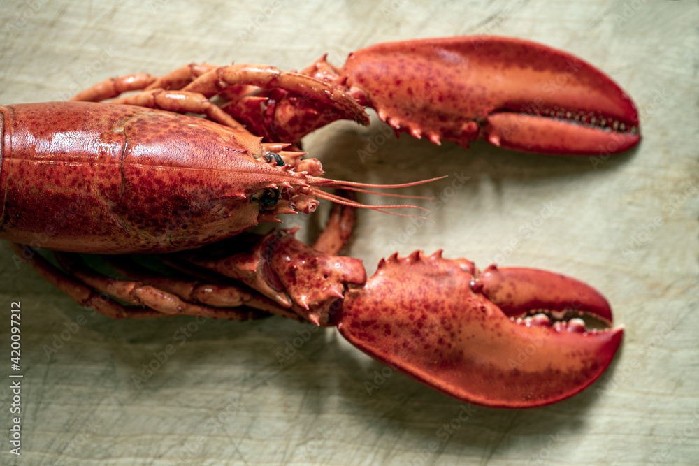 red lobster on a board, nacka, sverige, stockholm,sweden