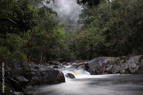 waterfall in the forest